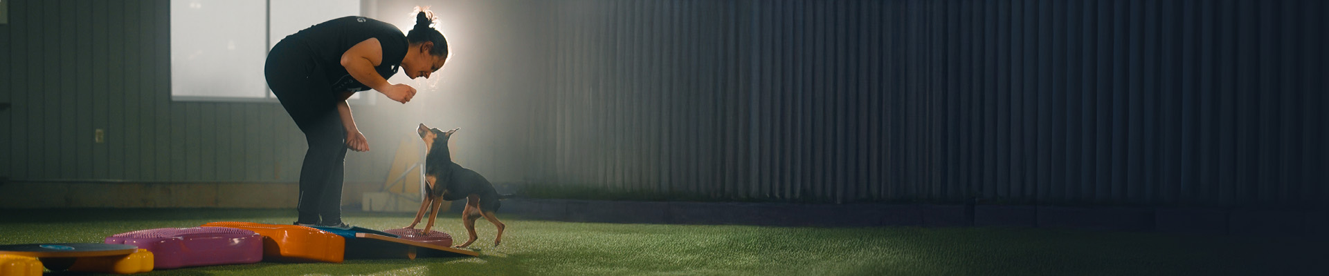 Quapas Dealerlocator